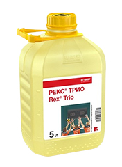 Рекс Трио, КЭ1